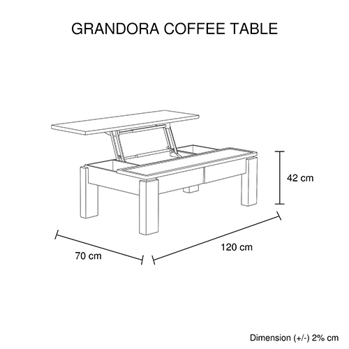 Coffee Table High Gloss Finish Lift Up Top Mdf Black and White Colour Interior Storage